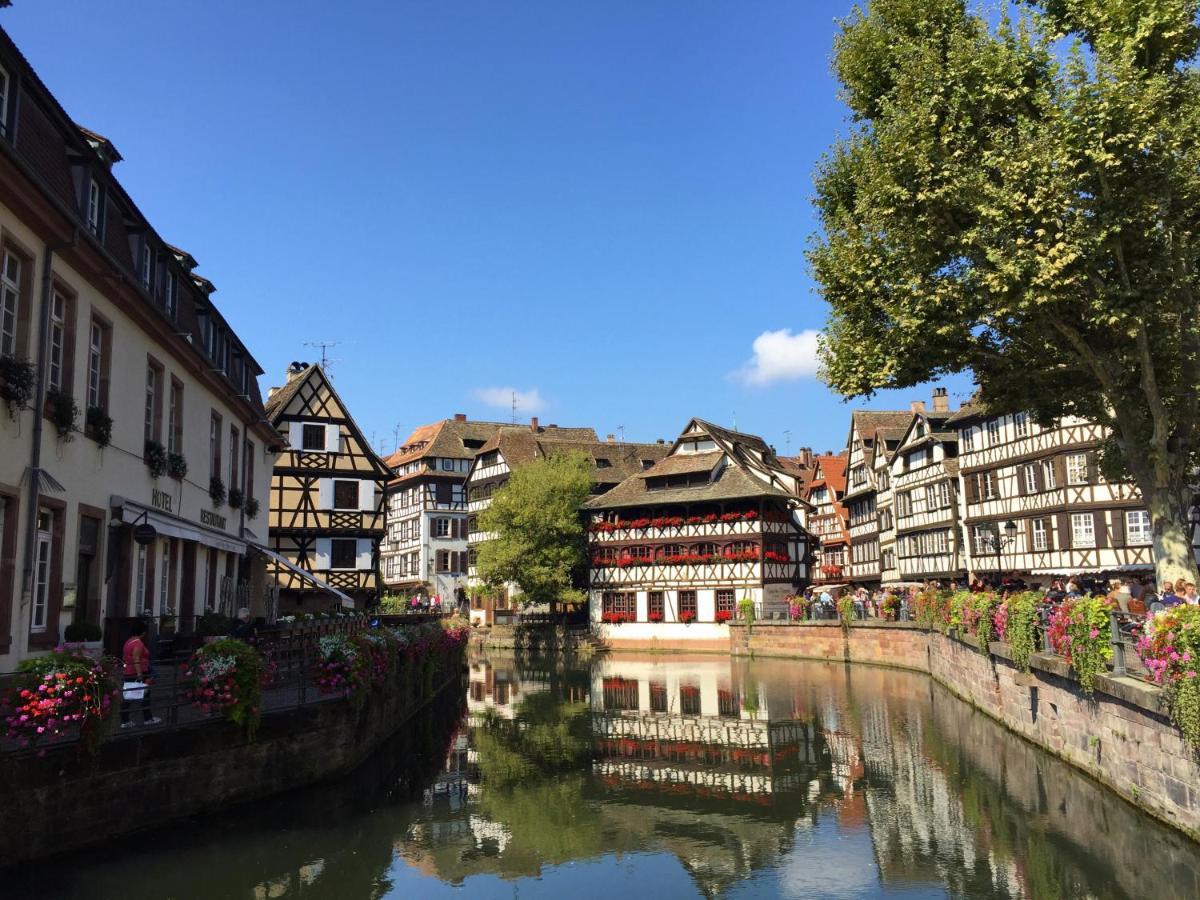 Appartement Le Cocon Petite France Strasbourg
